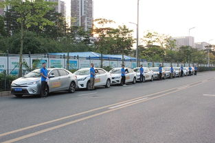 龍翔專業汽車陪駕 全方位服務，助您安全駕駛上路