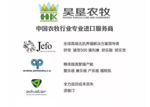 昊墾農牧調查 如何解決2019年家禽養殖業面臨的最大挑戰